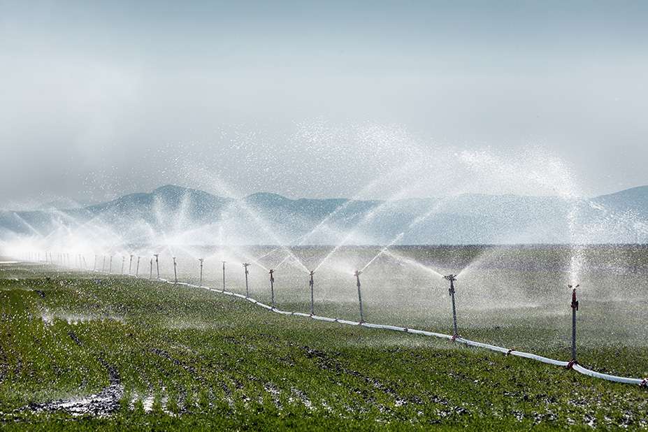 irrigation sprinkler watering crops on fertile farmland